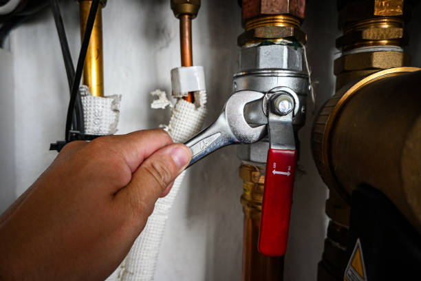 Best Plumbing Inspection Services  in Shamokin Dam, PA